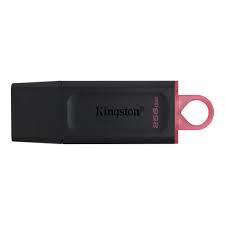 Kingston 256Gb USB 3.2 G1  DataTraveler Exodia (Backward Compatible)  -- 5 Year Kingston Warranty